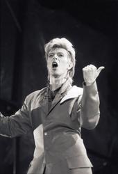 david87bowie65