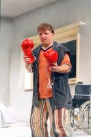 boxersHerz01